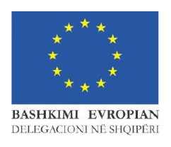 Logo e EU Delegation to Albania